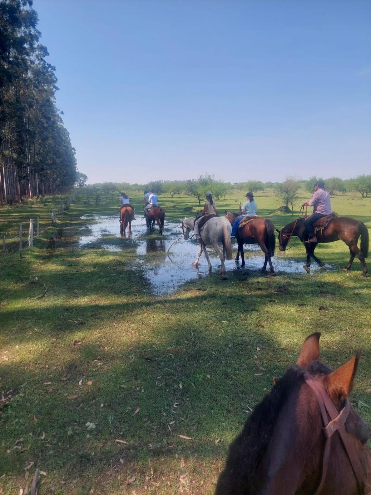 Estancia La Violeta Chajari Bagian luar foto