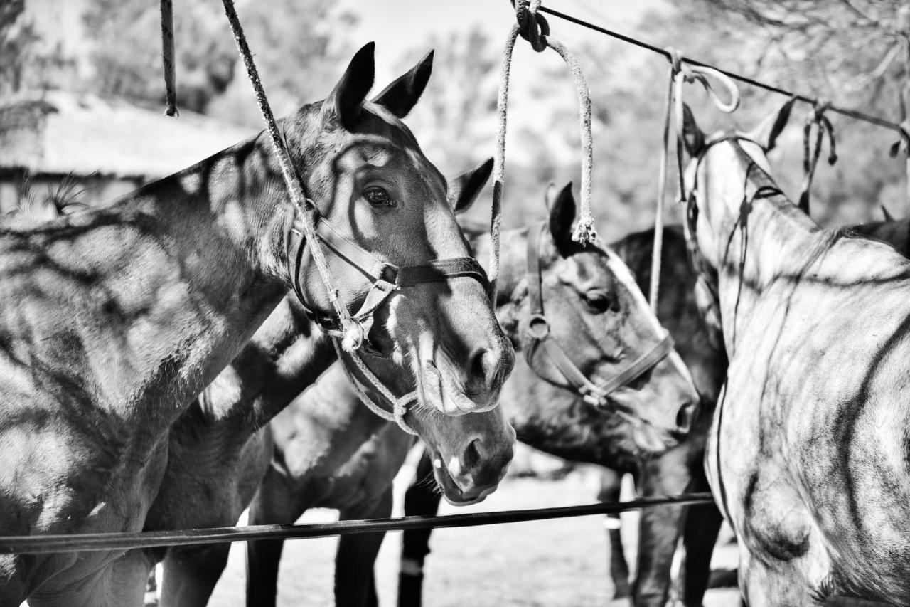 Estancia La Violeta Chajari Bagian luar foto