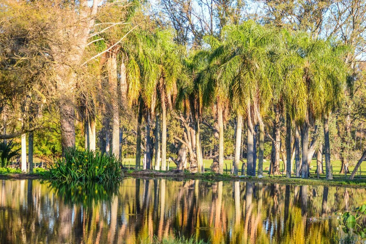 Estancia La Violeta Chajari Bagian luar foto