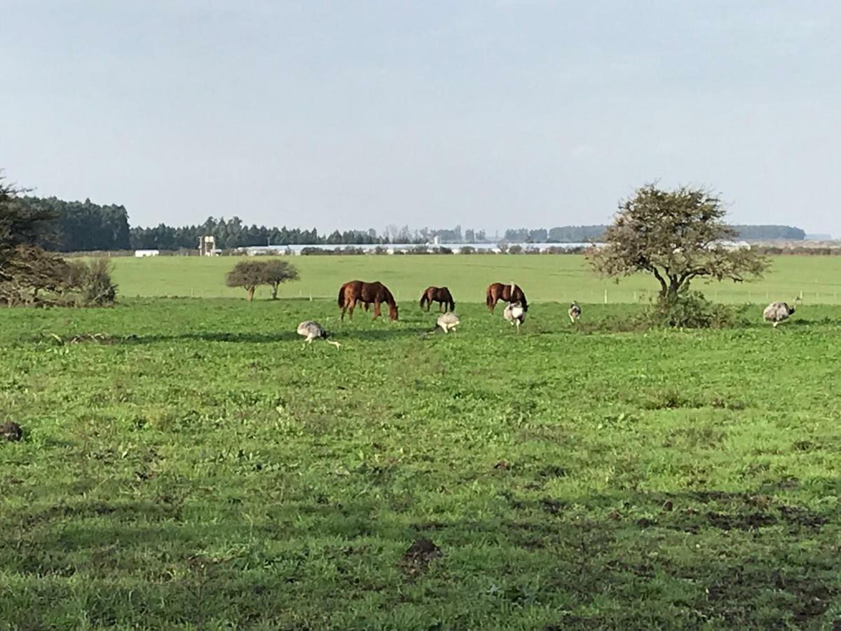 Estancia La Violeta Chajari Bagian luar foto